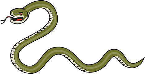 Image showing Serpent Coiling Side Isolated Cartoon