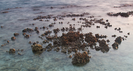 Image showing Beach in Krabi Thailand