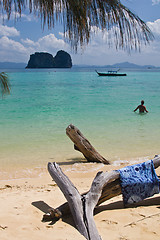 Image showing Dead tree in water the beach  thailand