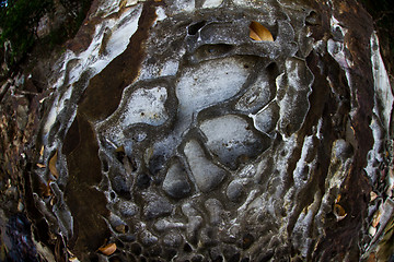 Image showing Stones on a beach