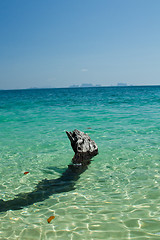 Image showing Dead tree in water the beach  thailand