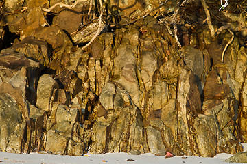 Image showing Tock at the beach in thailand