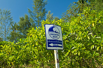 Image showing Tsunami evacuation sign 