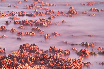 Image showing Beach in Krabi Thailand