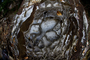 Image showing Stones on a beach