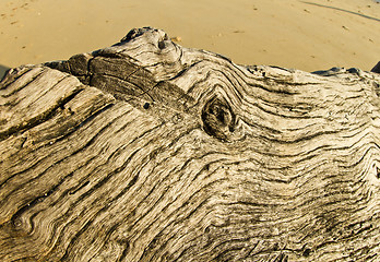 Image showing At the beach in thailand