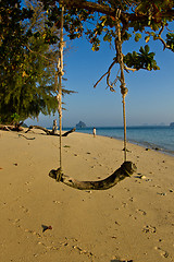 Image showing Rudimentary swing at the beach in thailand