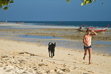 Image showing Dog at the beach