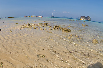 Image showing At the beach in thailand at low tide