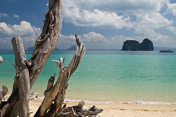 Image showing At the beach in thailand