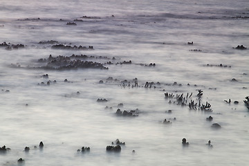 Image showing Beach in Krabi Thailand