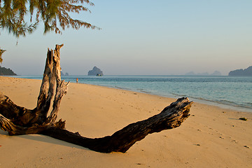 Image showing At the beach in thailand