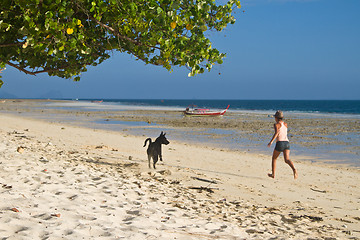 Image showing Dog at the beach