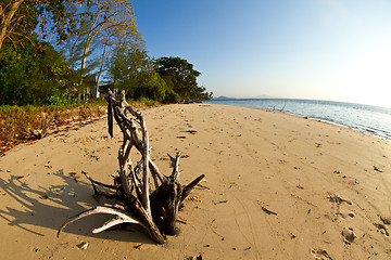 Image showing At the beach in thailand