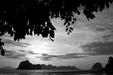 Image showing Beach in Krabi Thailand