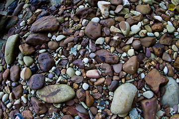 Image showing Stones on a beach