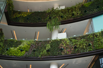 Image showing Shopping centre in Thailand