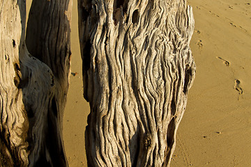 Image showing At the beach in thailand