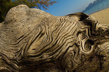 Image showing At the beach in thailand