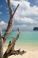 Image showing At the beach in thailand
