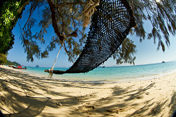 Image showing hammock at the beach in thailand