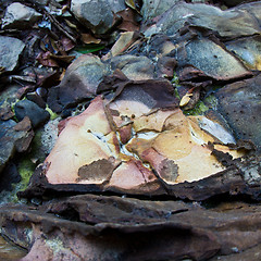 Image showing Stones on a beach