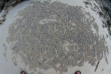 Image showing Patterns in the sand at the beach in thailand