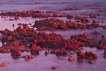 Image showing Beach in Krabi Thailand