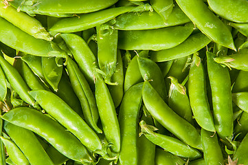 Image showing Background of young green peas in the pod