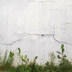 Image showing grunge wall and green grass background