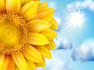 Image showing Beautiful sunflower against blue sky. EPS 10
