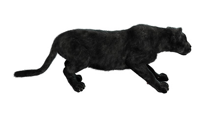 Image showing Black Panther