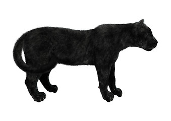 Image showing Black Panther