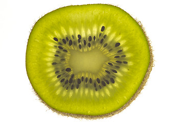 Image showing Slice of kiwi fruit