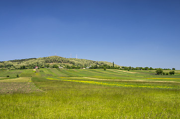 Image showing Rural landscape in spring