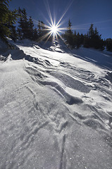 Image showing Beautiful winter day