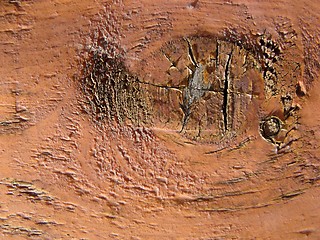 Image showing brown painted wood