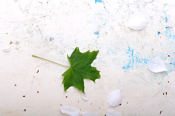 Image showing ornate floral background and green leaf