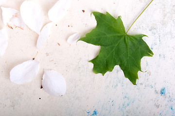 Image showing ornate floral background and green leaf