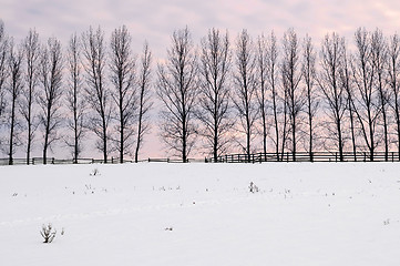 Image showing Rural winter landscape