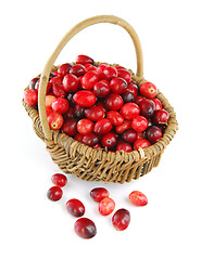Image showing Cranberries in a basket