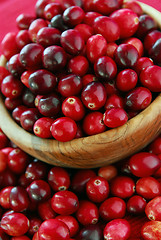 Image showing Cranberries in a bowl