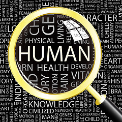 Image showing HUMAN.