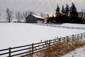 Image showing Rural winter landscape