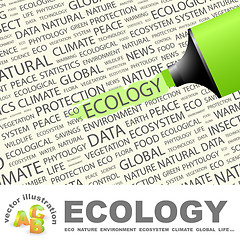 Image showing ECOLOGY.