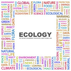 Image showing ECOLOGY.