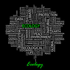 Image showing ECOLOGY.