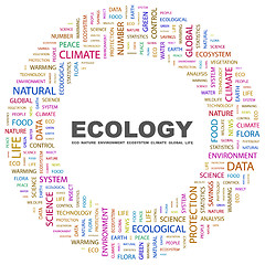 Image showing ECOLOGY.