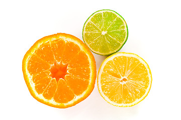 Image showing Wet Citrus Trifecta