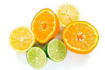 Image showing Pile of wet citrus